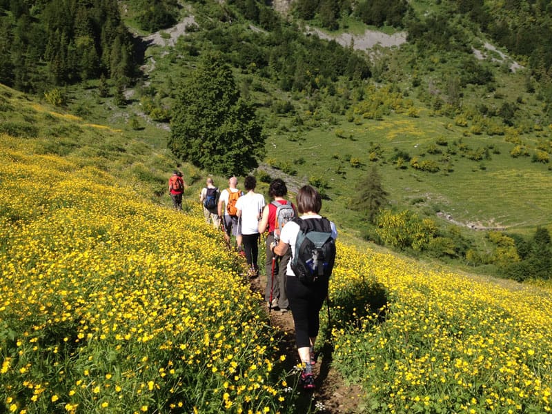 Nordic Walking a Botticino: camminate sportive e di educazione posturale -  Il Punto Brescia Est